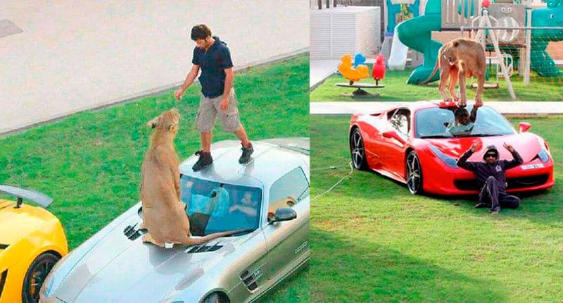 Money can buy and enslave everything, Wild animals are nothing Crazy Dubai