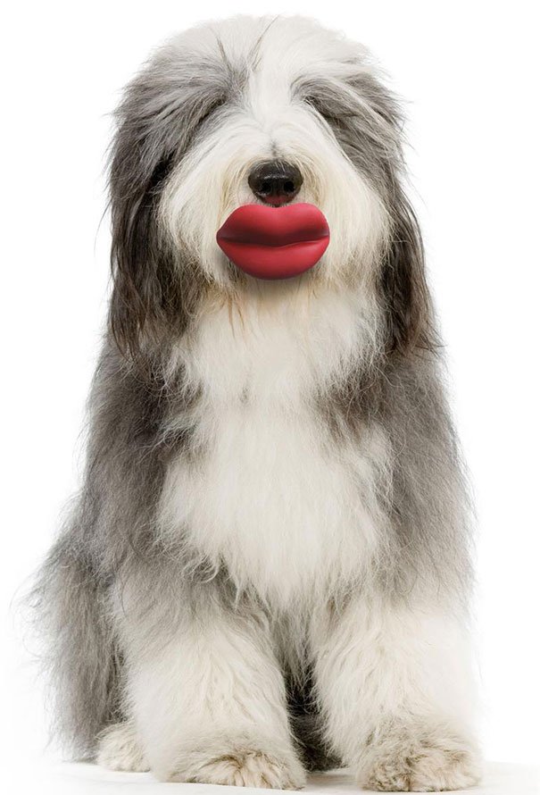 Moody Pet Lips Dog's Toys