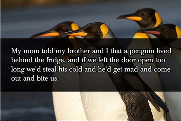 Penguin lie behind fridges Parent Lies