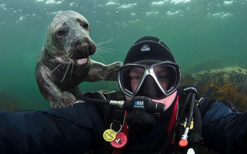 Underwater Selfie Fails Funny Photobombs