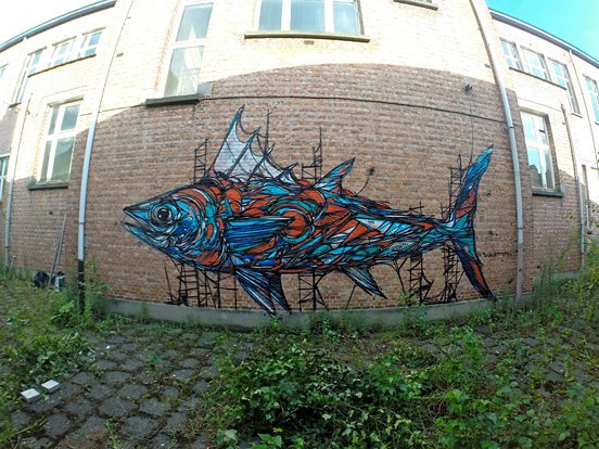 Fish Animal Mural