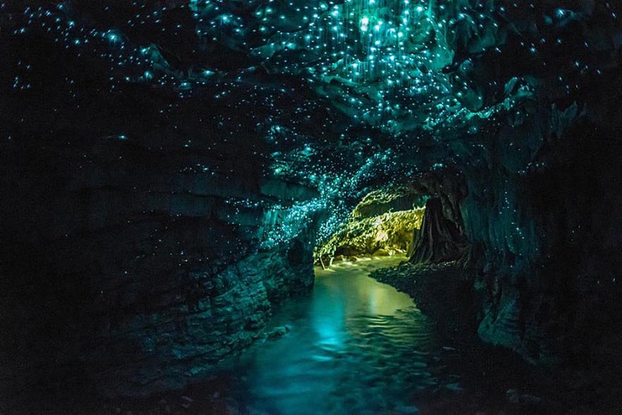 Glowworms Cave, New Zealand Mysterious Places