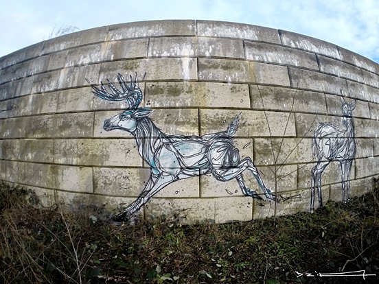 Reindeer Animal Murals