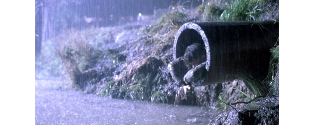 The Shawshank Redemption - Facts and Secrets 14 Sewage Escape