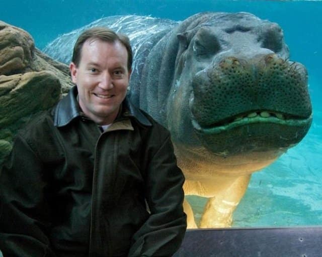 Best Animal Photobombs Ever 14 - Hippo