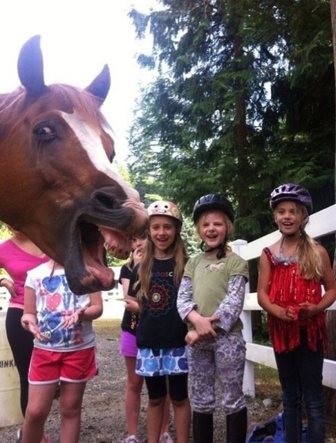 Best Animal Photobombs Ever 3a - Horse and Girls