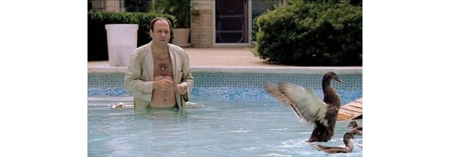 The Sopranos Best Moments - The Ducks Fly Away