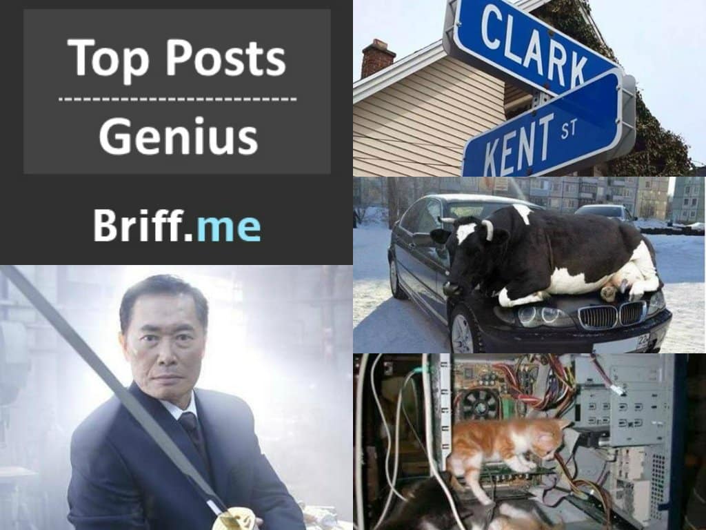 Top Posts by George Takei – Genius Briff