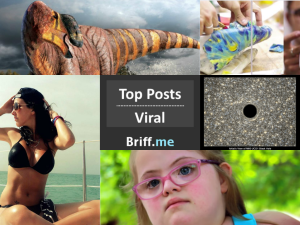Viral Briff 19Sep2014