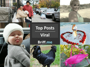 Viral Briff 25Oct2014