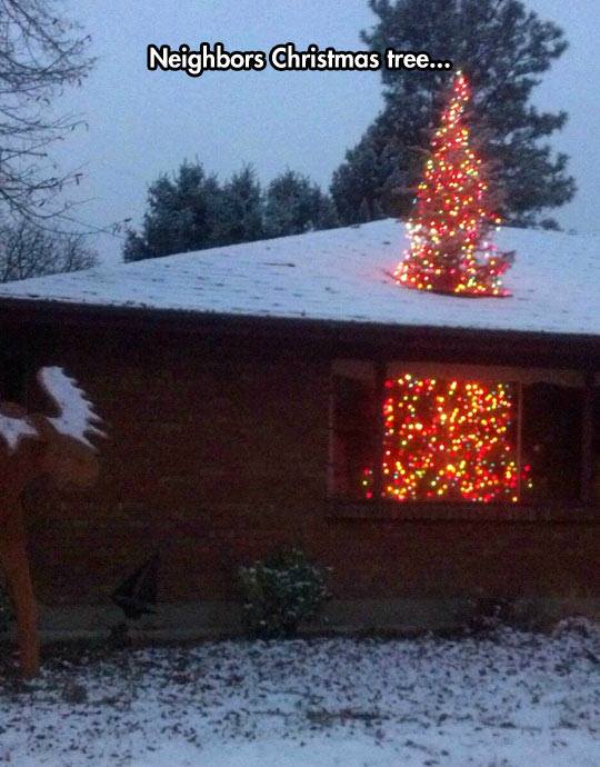 Funny Christmas Trees 1 Through the Roof