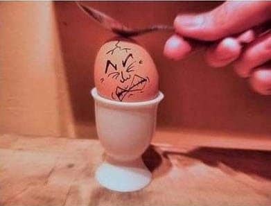 Funny Egg photos 5 Breaking