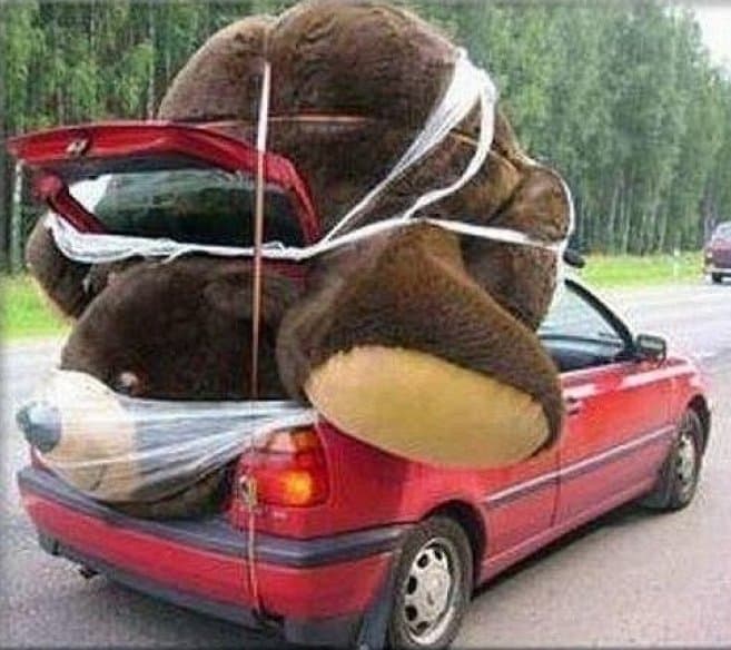 Big Teddy Bear for Valentines Day 14 Small Car