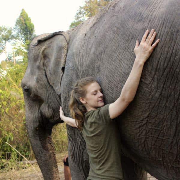 Elephant Animal Hug