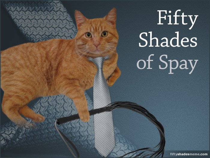 Fifty Shades of Spay