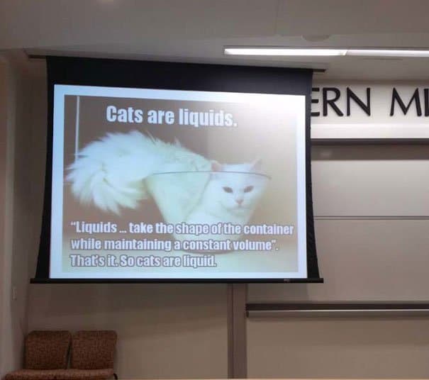 Cats are liquids Physics Teacher Awesome Teacher