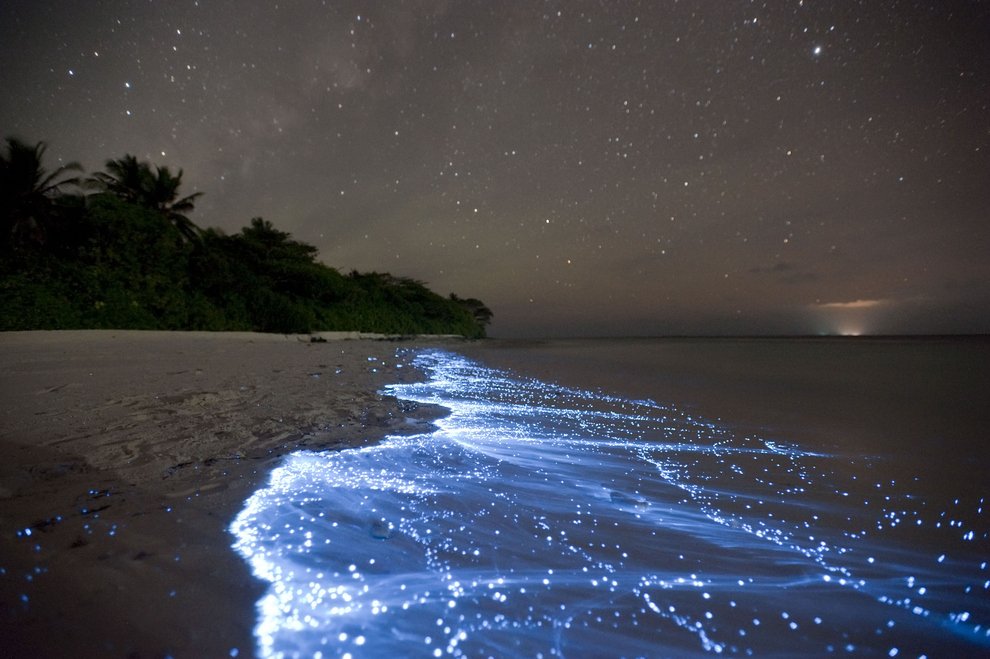 Sea of Stars on Vaadhoo Island in the Maldives Unusual Places
