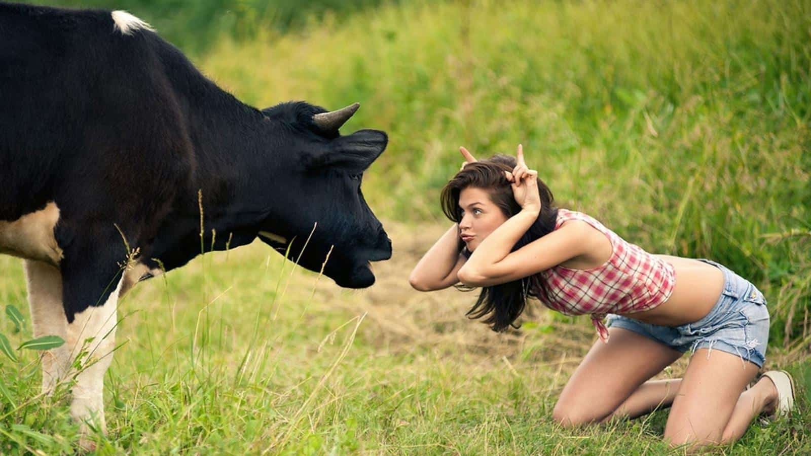 Cow Girl, Natural Calamity waits Dumb Girls