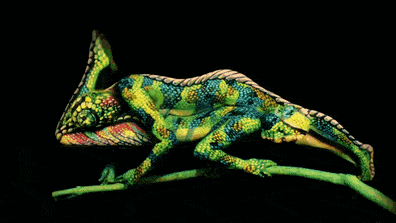 Look how Chameleon turns into two woman 3 Body Painting